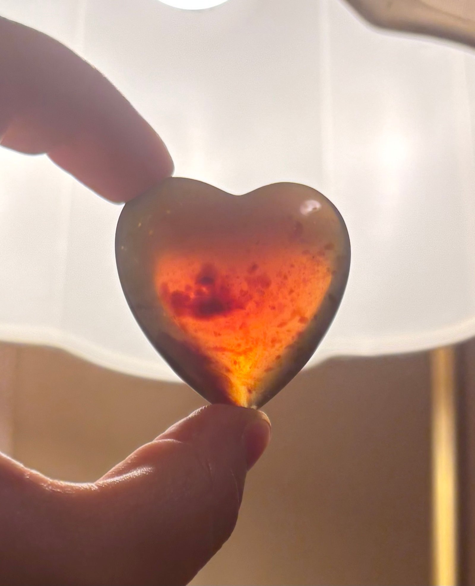 Amber Hearts