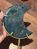 Blue appetite moon